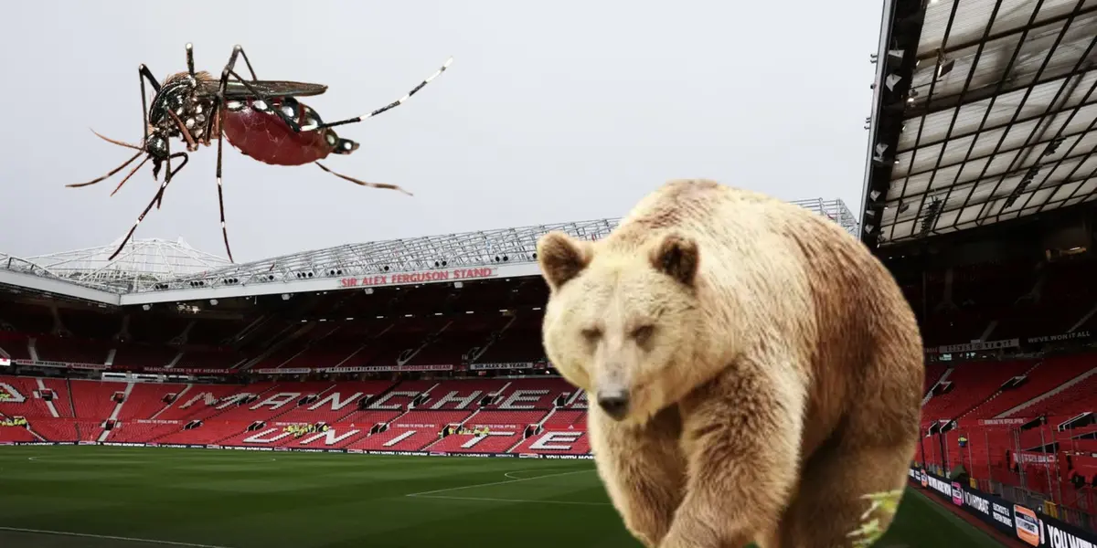 The presence of this animal has been a recurring problem, with no solution.